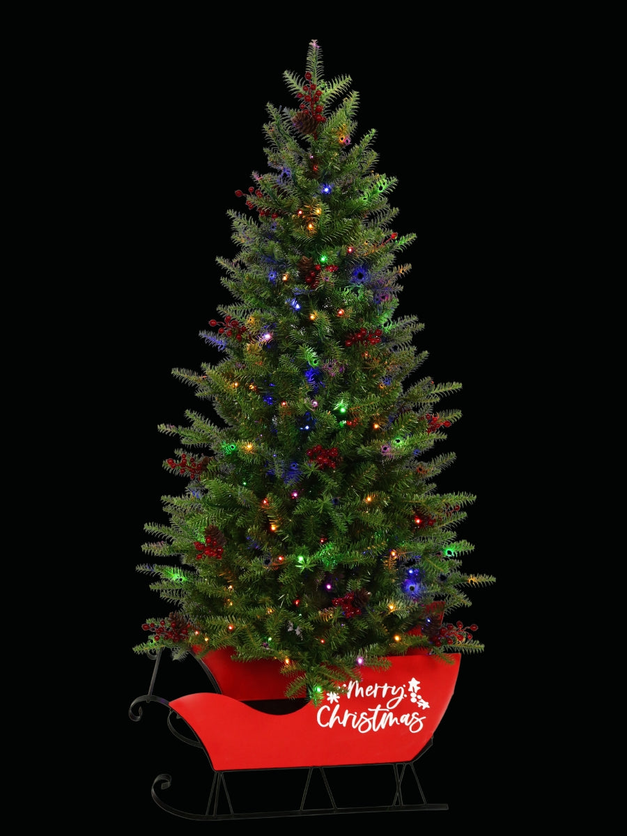 5' Mountain Green Fir in Sleigh